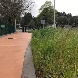 Imagen A empresa que construíu o carril bici Montrove- O Carballo ten abandonadas as zonas verdes