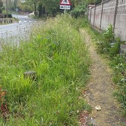 Imagen O Concello urxe á Deputación o mantemento das beiravías da avenida Emilia Pardo Bazán