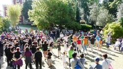 Imagen VI FOLIADA TRADICIONAL