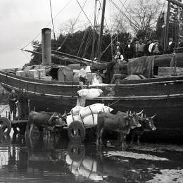 Imagen Aberto o prazo de inscrición para a visita guiada á exposición de fotografías de Ruth Matilda Anderson