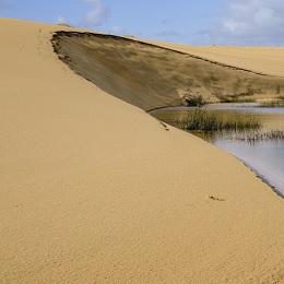 Imagen O Concello organiza unha ruta de sendeirismo polo Parque Natural de Corrubedo