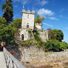 Imagen O castelo iluminarase de verde en apoio ao Día do Dano Cerebral e do Ictus