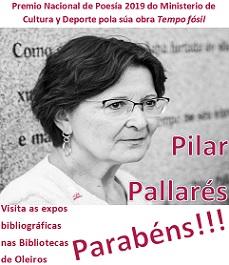 Imagen Pilar Pallarés, Premio Nacional de Poesía 2019 do Ministerio de Cultura y Deporte, por 'Tempo fósil'