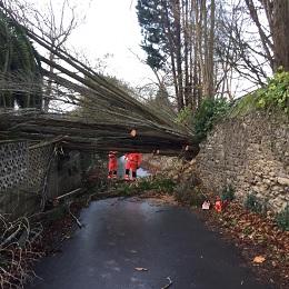 Imagen O Concello atende 107 incidencias provocadas polo temporal desta fin de semana
