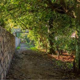 Imagen O Concello solicítalle á Xunta a consolidación do carril bici entre Arillo e Lourido
