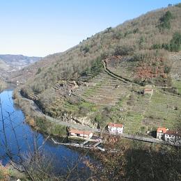 Imagen O Concello organiza unha excursión á Ribeira Sacra do Miño e ao Entroido Ribeirao