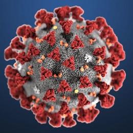 Imagen O Concello de Oleiros mantén a atención telefónica e telemática en todos os departamentos