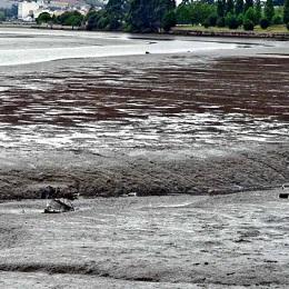 Imagen O Goberno central segue a demorar a contratación do dragado da ría