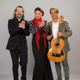 Imagen Temple flamenco actúa o domingo na Fábrica