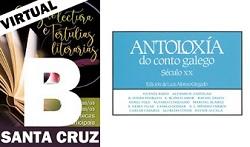 Imagen Tertulia literaria (virtual) en Santa Cruz: 19 xaneiro 2021 (Grupo B)