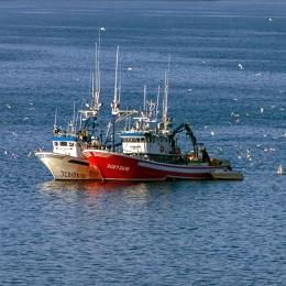 Imagen O pleno aproba unha moción en defensa da pesca artesanal galega, ante os ataques da Unión Europea