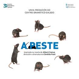 Imagen Autobús gratuíto para asistir en Santiago á última obra do Centro Dramático Galego