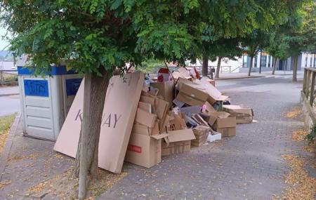 Imagen Unha ex-concelleira do PP da Coruña infractora das normas de lixo na rúa...