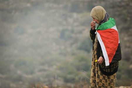 Imagen O Concello apoia a manifestación do luns en solidariedade co pobo palestino